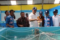 KKP Jadikan Meranti Pusat Kawasan Budidaya Kakap Putih Nasional