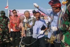 Garap Industri Budidaya Lobster Nasional, KKP Benahi 6 Tantangan