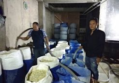 Sukses Jadi Juragan Toge Berkat KUR BNI