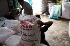 Serapan Pupuk Bersubsidi Rendah, Kementan Minta Pemda Percepat pendataan