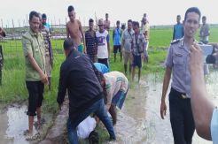Empat Petani NTT Tersambar Petir di Sawah, Dua Tewas