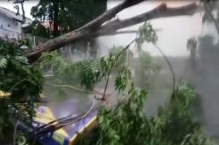 Pasien UGD RS Profesor Doktor Sukandar Panik, Tabung Gas Oksigen Rusak Ditimpa Pohon
