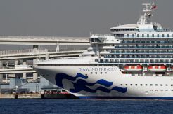 BNPB Siap Bantu Evakuasi WNI di Kapal Diamond Princess dan World Dream