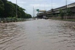 Jalan Cacing Terendam, Hanya Truk yang Bisa Melintas