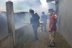Minimalisir DBD dan Chikungunya, Dinkes Kota Tangerang Terjunkan Tim Jumantik