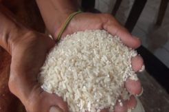Beras Bantuan Warga Miskin di Pulorejo Mojokerto Bau Apek dan Berwarna Kuning