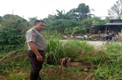 Sepekan Hilang, Pengusaha di Riau Tewas Mengenaskan dan Mobil Dibakar