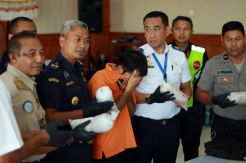 Bea Cukai Ngurah Rai Gagalkan Penyelundupan Baby Lobster Miliaran Rupiah