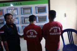 Tanam Ganja di Tempat Kos, Superman Diciduk Polisi