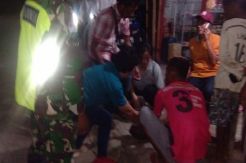 Babi Mati Mendadak di Perbatasan NTT-Timor Leste Meningkat, Ada Apa?