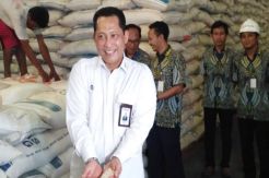 Buwas Sebut Sisa Beras Impor Bulog Masih 900 Ribu Ton