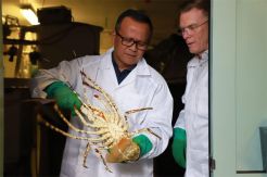 Kembangkan Sumber Daya Kelautan, KKP Gandeng Universitas Tasmania