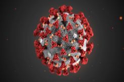 Portugal Konfirmasi Dua Kasus Pertama Pasien Terinfeksi Virus Corona
