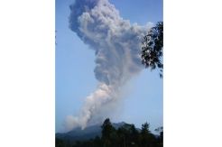 Abu Kolom Capai 6.000 Meter, Tertinggi Selama Masa Erupsi Merapi