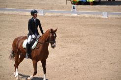APM Jadi Tuan Rumah Seri Kedua Equestrian Champions League