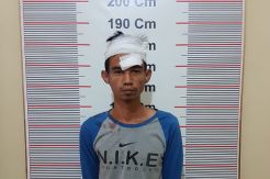 Padi Siap Panen Banyak Hilang, Petani di Langkat TKO Pencuri di Sawah