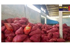 Bea Cukai Aceh Gagalkan Penyelundupan 18 Ton Bawang Merah Asal Thailand
