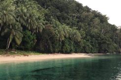 Buka Pendaftaran Online, Pemkab Teluk Wondama Gandeng WE Kampung Inggris