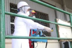 Penyemprotan Desinfektan Covid-19, Libatkan Para Pekerja Korban PHK