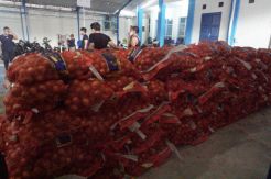Bea Cukai Gagalkan Penyelundupan 1.835 Karung Bawang Ilegal