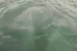 Heboh, Fenomena Gelembung Udara Besar di Perairan Dekat Gunung Anak Krakatau