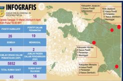 Pasien Positif Melonjak, 4 Kabupaten/Kota di Papua Jadi Fokus Penanganan COVID-19