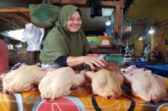 Dijual Murah Pembeli Tetap Sepi, Harga Ayam Anjlok di Lubuklinggau