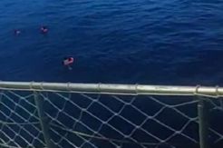 3 ABK Positif Corona, 5 Penumpang Kapal Lambelu Loncat ke Laut