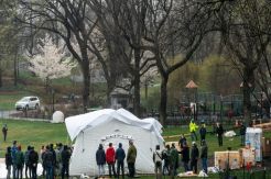 New York Buka Opsi Kubur Mayat-mayat Korban COVID-19 di Taman