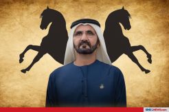 Demi hobi, Penguasa Dubai Beli Kuda Seharga Rp183 Miliar