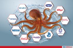 10 Perusahaan Multinasional yang Produk Konsumernya Merajai Dunia