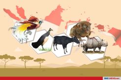 5 Satwa Keren dan Unik yang Hanya Ada di Indonesia