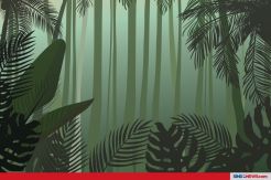 Kondisi Hutan Amazon yang Sangat Memprihatinkan Saat Ini