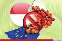 Indonesia Resmi Gugat Uni Eropa ke WTO atas kebijakan RED II