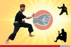 UNESCO Tetapkan pencak silat masuk dalam warisan dunia