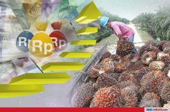 Harga Naik, Awal 2020 Saat Melegakan Bagi Industri Sawit Nasional
