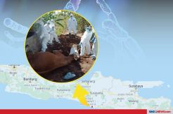Waspada! Virus Anthraks Mulai Mengintai Masyarakat