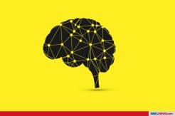 Deretan Orang dengan IQ Tertinggi, Sidis Urutan Pertama