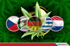 Diharamkan di Indonesia, Ganja Legal di Negara-negara Ini