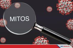 Mesti Tahu, Inilah 10 Mitos Seputar Virus Corona