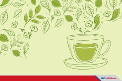 Jenis-jenis Teh Terbaik  yang Telah Diakui di Dunia