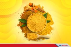 Hasil Penelitian Ahli, Temulawak Mampu Tangkal Virus Corona