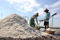 Harga Garam Turun