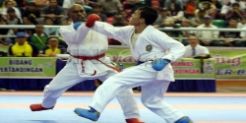 Kumite Karate 67 Kg