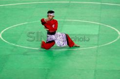 Festival Pencak Silat