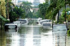 Pluit Terendam