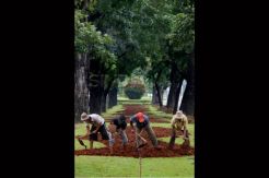 Perbaikan Taman Kota