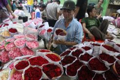 Mawar Valentine