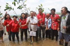 Konservasi hutan Kepulauan Seribu