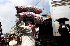 Harga bawang putih menggila